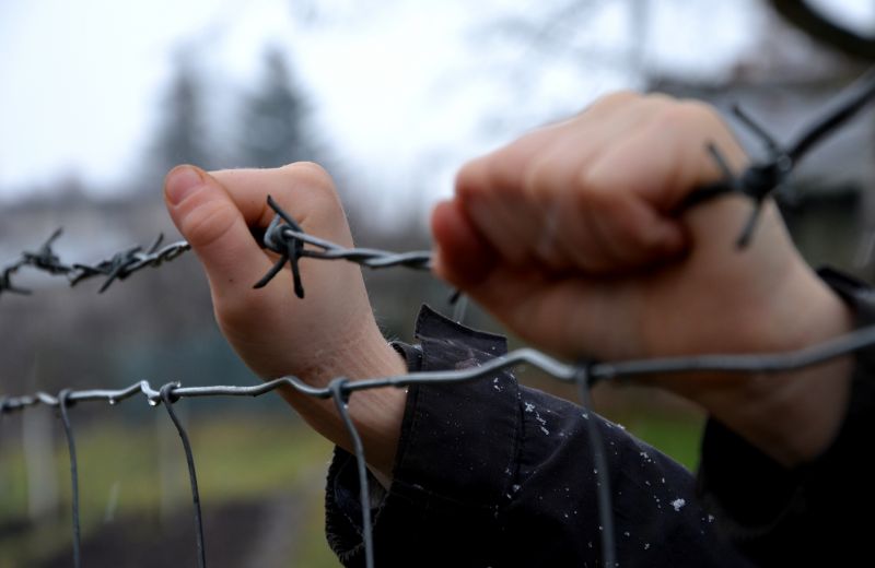 Barbed Wire Fence Replacement